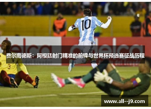 费尔南德斯：阿根廷射门精准的前锋与世界杯预选赛征战历程