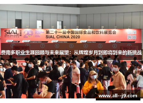 费南多职业生涯回顾与未来展望：从辉煌岁月到即将到来的新挑战