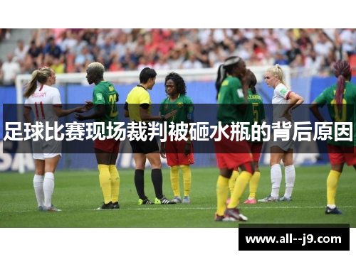 足球比赛现场裁判被砸水瓶的背后原因