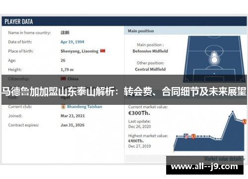 马德鲁加加盟山东泰山解析：转会费、合同细节及未来展望