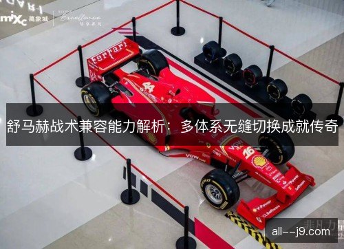 舒马赫战术兼容能力解析：多体系无缝切换成就传奇