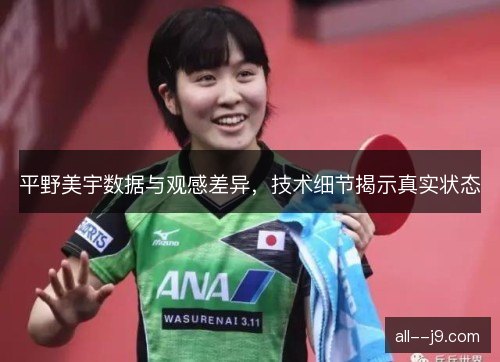 平野美宇数据与观感差异，技术细节揭示真实状态